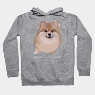 Cute Pomeranian Drawing Hoodie